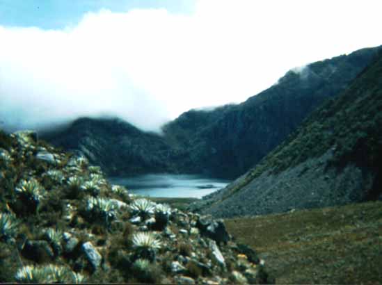 Vista de la Laguna Verde