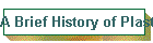 A Brief History of Plast