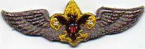 Air Explorer Insignia, AE-02