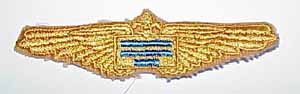 Assistant Squadron Pilot, AS-10