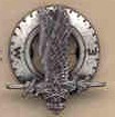 Air Scout Ace lapel pin, AS-17