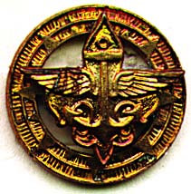Bronze Award lapel pin