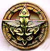 Gold Award lapel pin