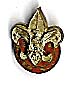 Rover Scout label Pin, RS-09