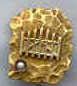 Merit Degree Pin