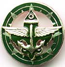 Advisor Collar pin in green
