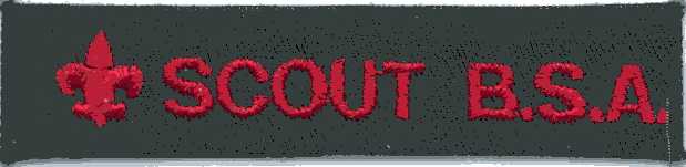 Scout BSA green shirt strip