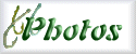 pics