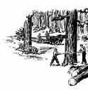 Logging