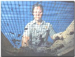 Sifting the History of the Valley