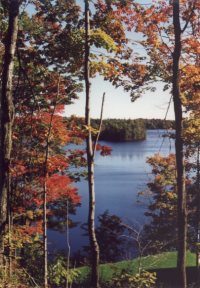 Autumn View