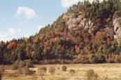 Autumn on the rocks