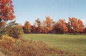 Fall In The Country