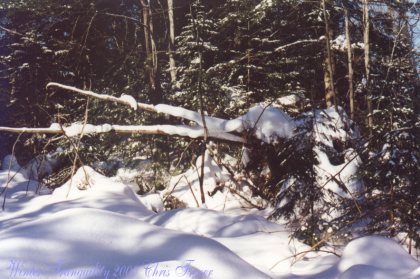 Winter traquility