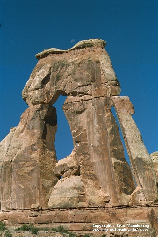 druid arch