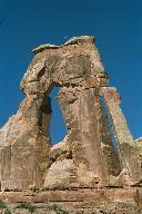 druid arch