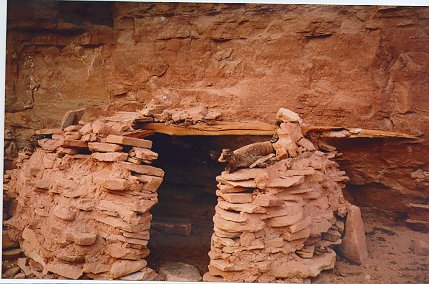 Anasazi Grainery