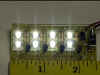 white.jpg (35536 bytes)