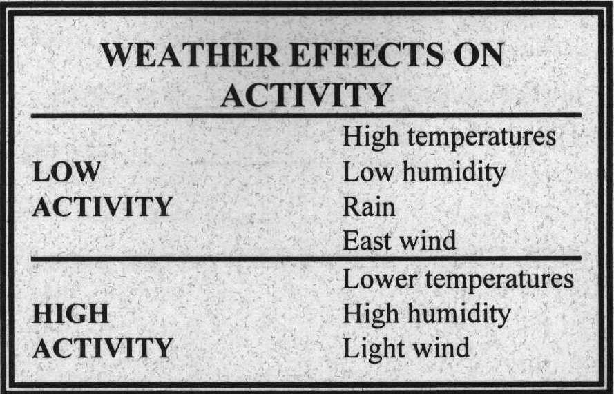 Weather activity