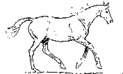 gallop.gif (8434 bytes)