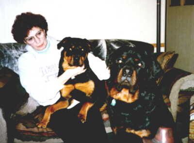 rotties1.jpg (52535 bytes)