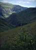 biodiversity as defined by grassland. the closer you look the more you see