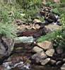 A tiny stream at the start of one of Kwazulu Natals many rivers