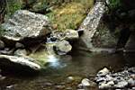 weel off any path, you can stumble across many inviting pools