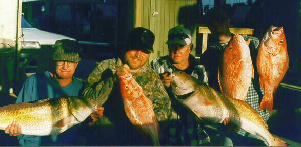 Nice Fish