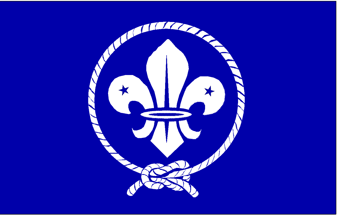 World Scouting Flag  (where we all come from after all)