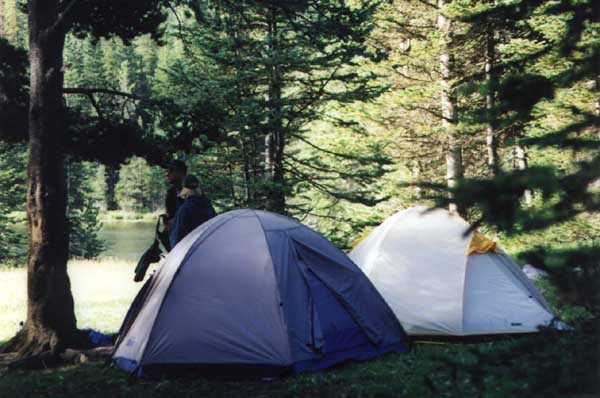 Tents