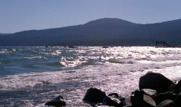 Windy Shoreline