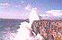 Galeria de Imagens