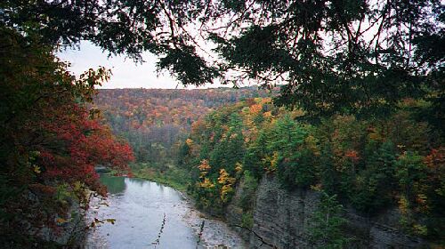 Genesee River Gorge 10/98