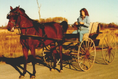 arab.jpg (65003 bytes)