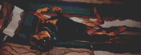 hardwork.jpg (51106 bytes)