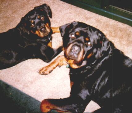 parents.jpg (74668 bytes)