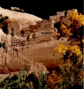 Rezscapes