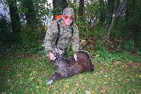 Fall hen