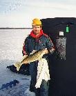A nice walleye