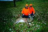 Bruce's Buck