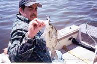 A nice White Bass