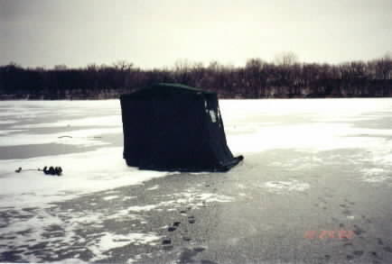 New Shelter