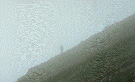 Where's everybody gone