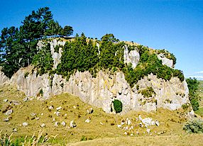 castle rock Wharepapa