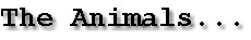 titnamanim.jpg (3741 bytes)