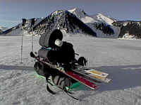 sled.jpg (19221 bytes)