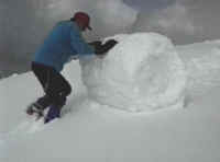 snowballs1.JPG (21308 bytes)