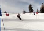 JAN_SKI_RACE_01.jpg (28kb)