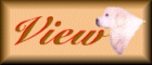 pyreview.gif
